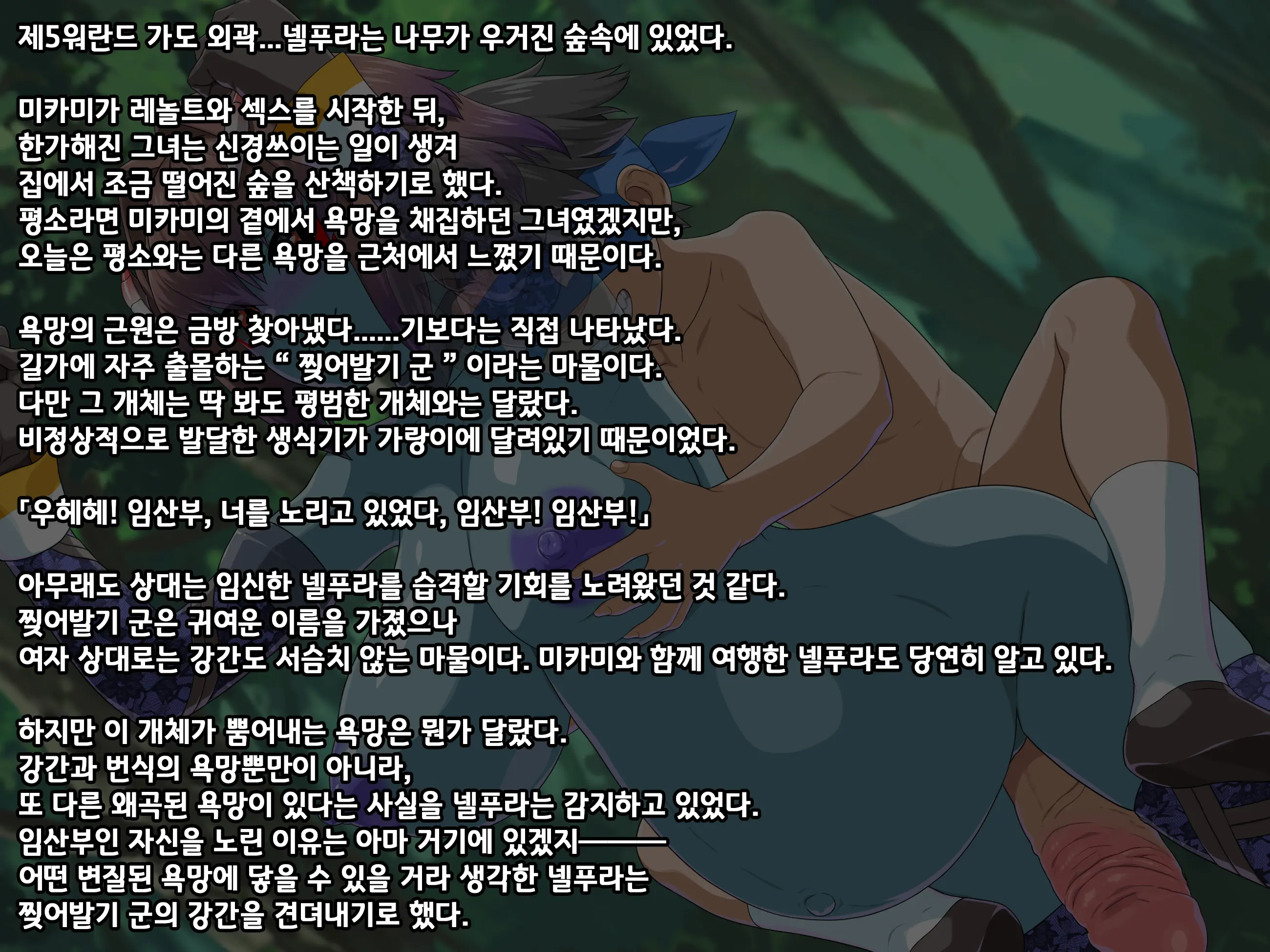 비타민 퀘스트 2 보너스 CG 3 - 넬푸라